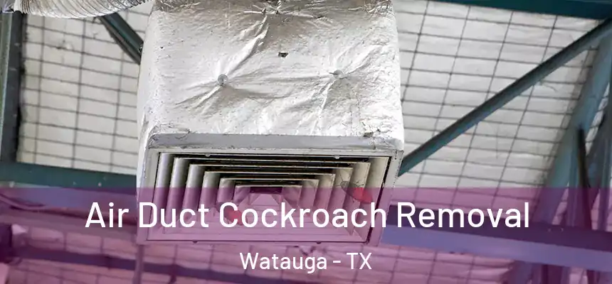  Air Duct Cockroach Removal Watauga - TX