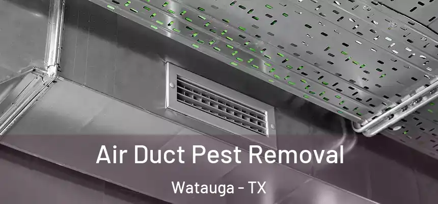  Air Duct Pest Removal Watauga - TX