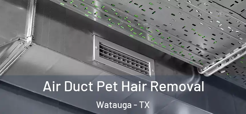 Air Duct Pet Hair Removal Watauga - TX