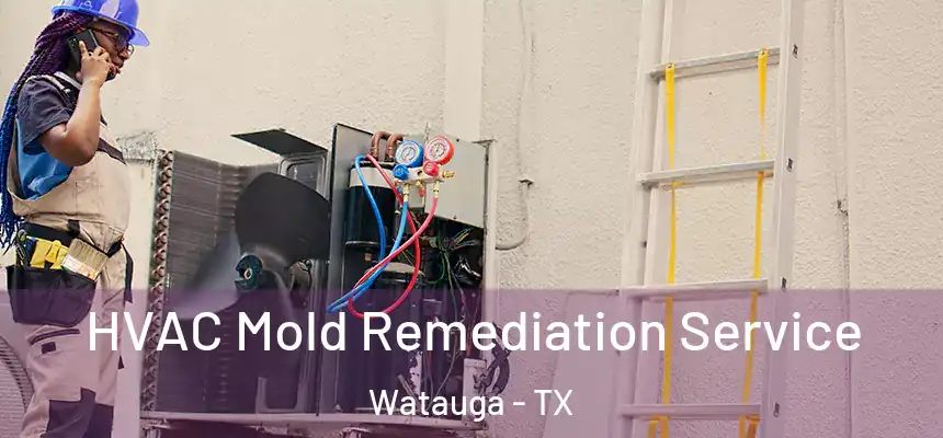  HVAC Mold Remediation Service Watauga - TX