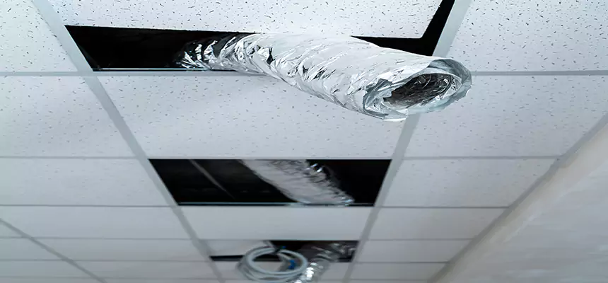 Our Air Duct Pet Hair Removal Services in Watauga, TX