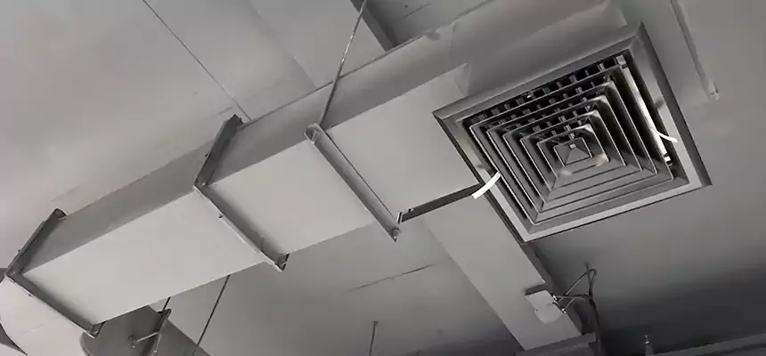 Restorative Allergy Relief Vent Cleaning – Coil, Blower & Housing Detail in Watauga