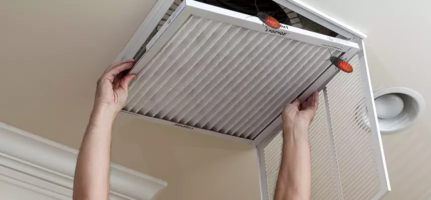 Our Insect Removal from Air Ducts Services in Watauga, TX