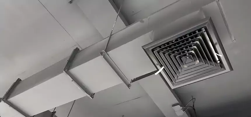 Our Rodent Droppings In Vents Services in Watauga, TX