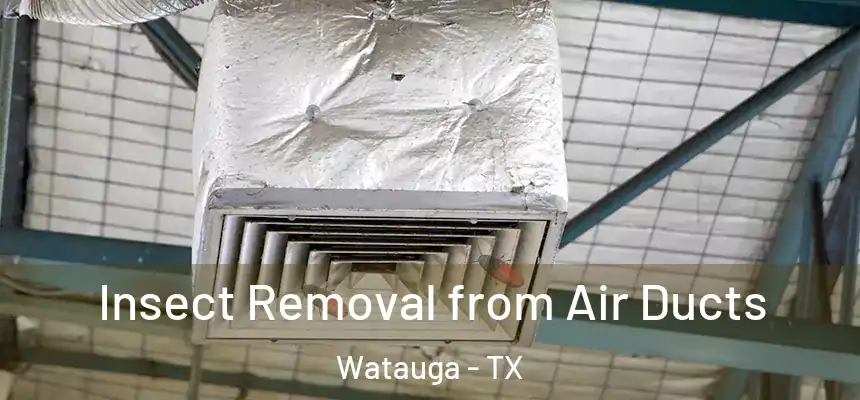  Insect Removal from Air Ducts Watauga - TX