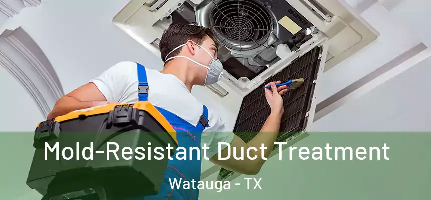  Mold-Resistant Duct Treatment Watauga - TX
