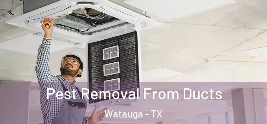 Pest Removal From Ducts Watauga - TX