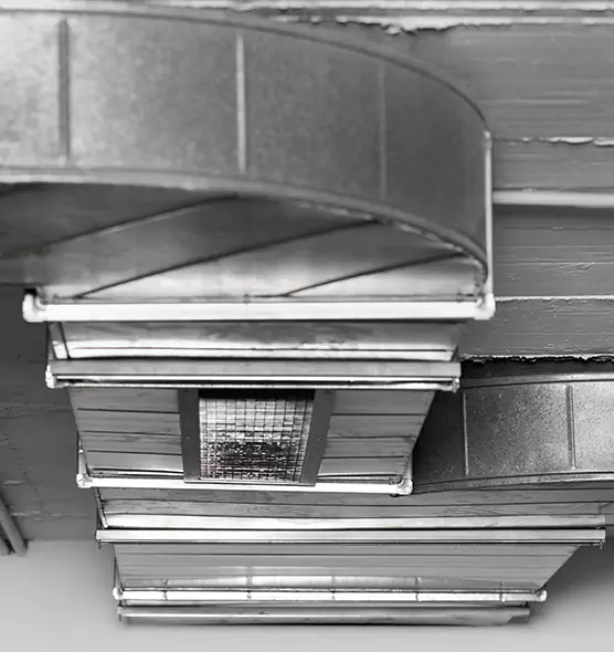 Professional Air Duct Pest Removal in Watauga, TX