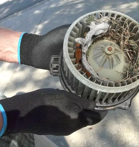 About Air Duct Rat Removal in Watauga, TX