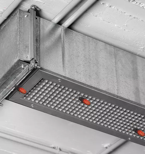 Affordable Insect Removal from Air Ducts in Watauga, TX