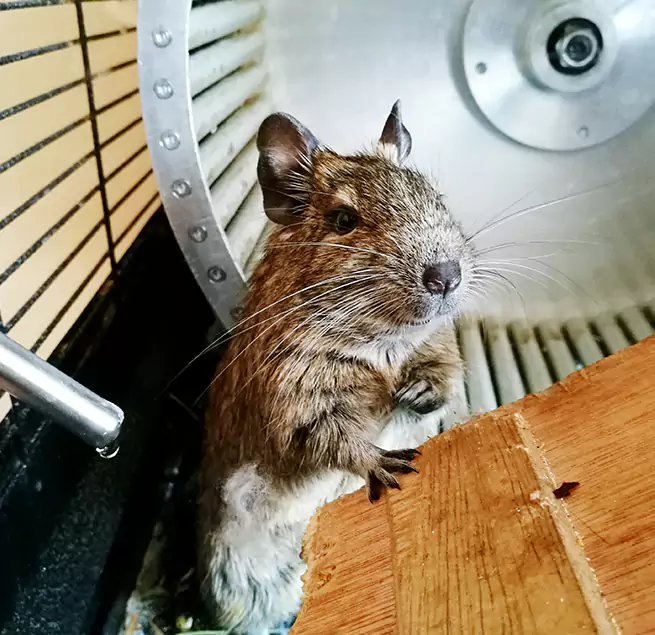 Why Homeowners & Businesses Trust Us Watauga, TX