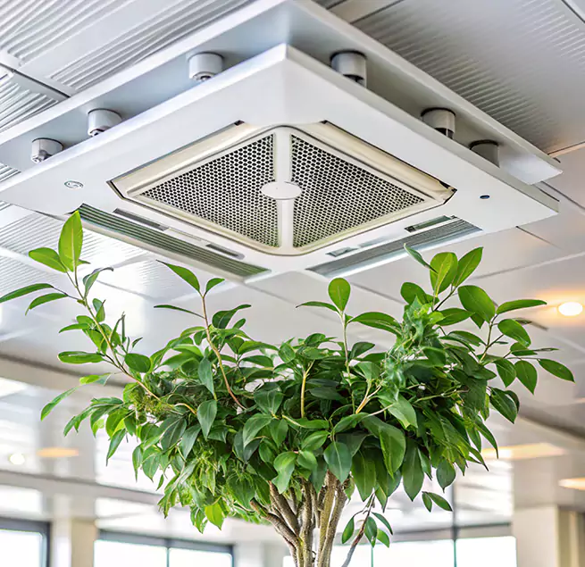 Why Homeowners & Businesses Trust Us in Watauga, TX